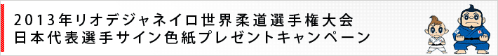 2013NIfWlCE_I茠 {\ITCFv[gLy[